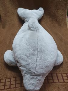 DOLPHIN - Good Size