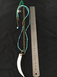 Mother of pearl claw and Turquoise beads Necklace.
