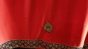 Women Embroidered Saree