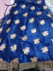 Blue Embellished Lehenga Choli