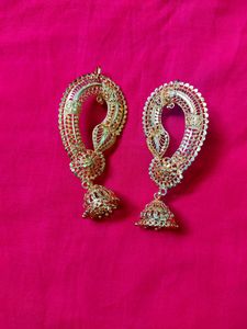 New Earrings Covering Whole Ear (Earcuff)
