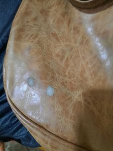 Brown Shoulder Bag