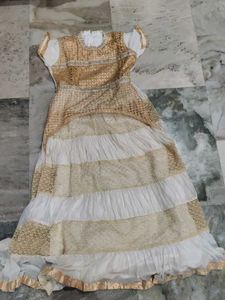 Ethnic Skirt