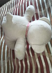 Cute Teddy And Toy🧸