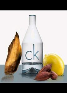 Calvin Klein Perfumes