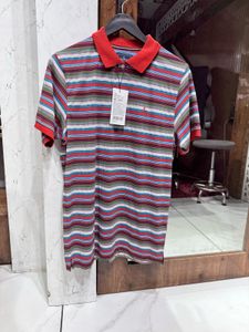 Striped Polo Shirt