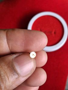 Parrot Desine Nose Pin Gold
