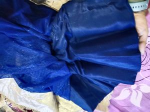 Blue &amp; Gold Embellished Lehenga Skirt
