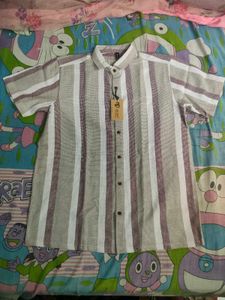 Striped Short Sleeve Button Down Shirt