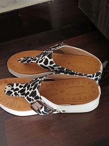 Ladies Shoes