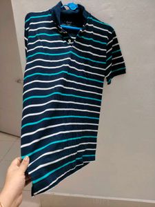 Striped Polo T-Shirt