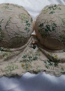 Bra