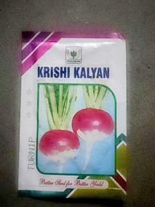 Salgon 1000 Seeds only Per Packet
