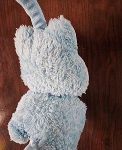 Blue Cute Earmuff