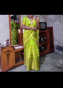 Green &amp; Gold Sari