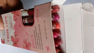 Lip Liner Pencil Set Of 12