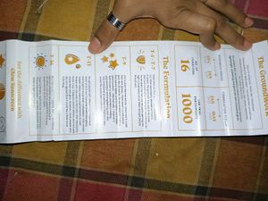 FOXTALE SUNSCREEN 🦊