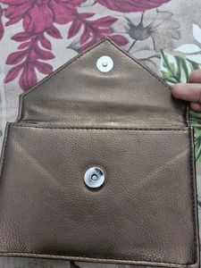 Metallic Bronze Clutch