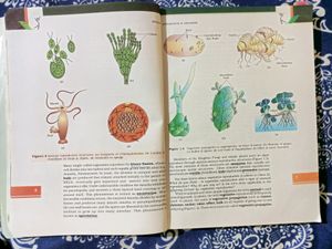 Biology Ncrt Class12