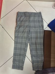 Business Formal Pants Checked