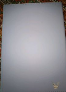🟩2025 Sky Blue Notebook Diary With Pen