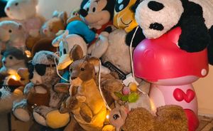 Plush Toy Collection/ Bundle