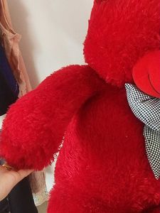 Red Teddy