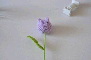 Crochet Tulip