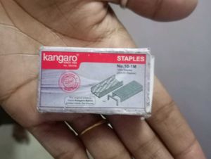 Silver Stapler and clips