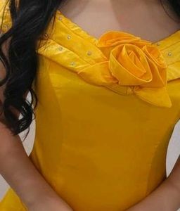 Elegant Yellow Ethnic Gown