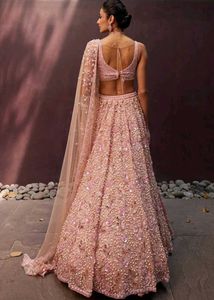 Coral Net Beautiful Lehenga