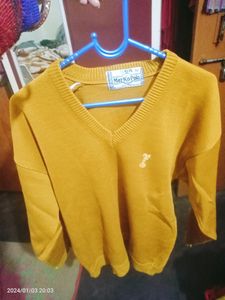 Mans Sweater