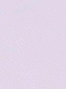 Silk Fabric