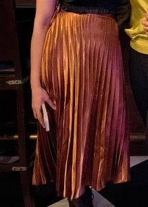 Pleated Bronze Skirt