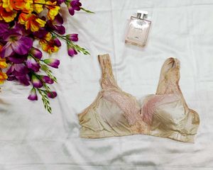 🇳🇿💫💗 imported Silky Shiney Bra