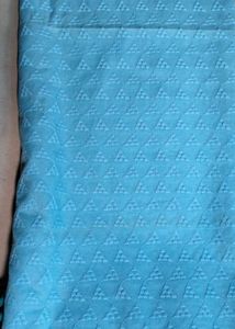 Chikankari Hakoba Fabric