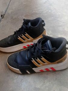 Adidas Black &amp; Gold Sneakers