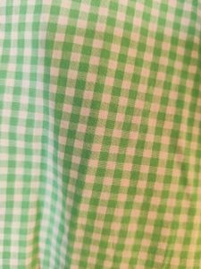 Green Checked Shirt
