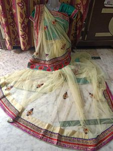 Elegant Lehenga Choli