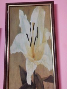 Medical Floral Artwork Frame
