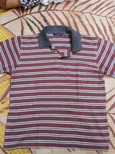 Striped Polo Shirt