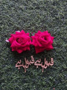 Red ROSE &amp; Qubool Hai TAG IN Arabic