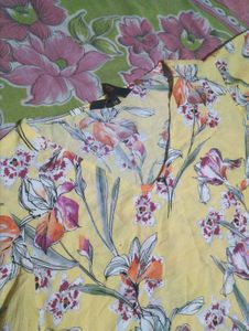 Women&#39;s Top
