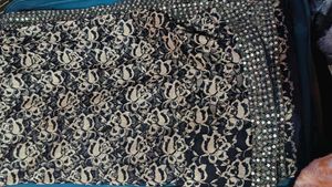 beautiful women net saree