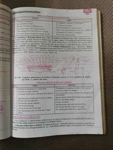 Companion Biology Class XI Vol I ,II