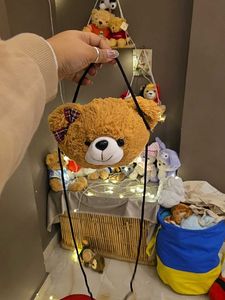 Cute Teddy Bear Sling Bag