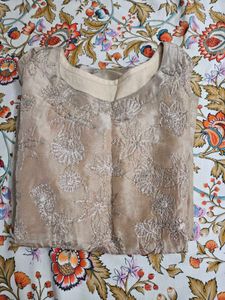 Organza Tissue Partywear Kurta