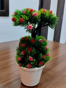 🌲 Tree