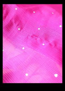 Elegant Saree Collection 3