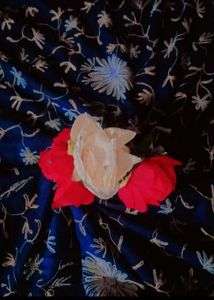 Shawl